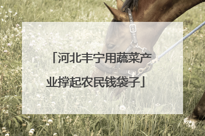 河北丰宁用蔬菜产业撑起农民钱袋子