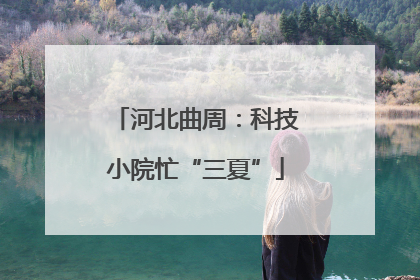 河北曲周：科技小院忙“三夏”