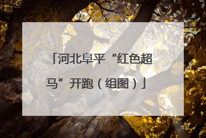 河北阜平“红色超马”开跑（组图）
