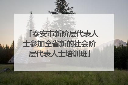泰安市新阶层代表人士参加全省新的社会阶层代表人士培训班