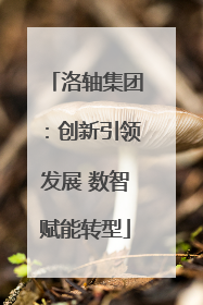 洛轴集团：创新引领发展 数智赋能转型