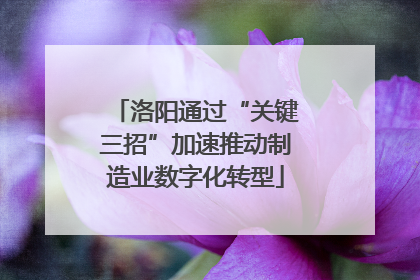 洛阳通过“关键三招”加速推动制造业数字化转型