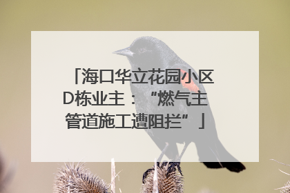 海口华立花园小区D栋业主：“燃气主管道施工遭阻拦”
