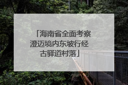 海南省全面考察澄迈境内东坡行经古驿道村落