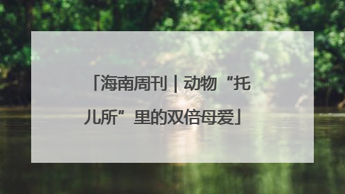 海南周刊｜动物“托儿所”里的双倍母爱