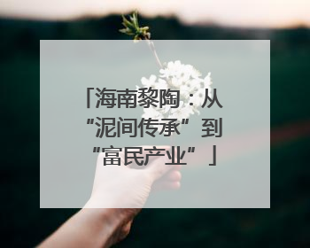 海南黎陶：从“泥间传承”到“富民产业”