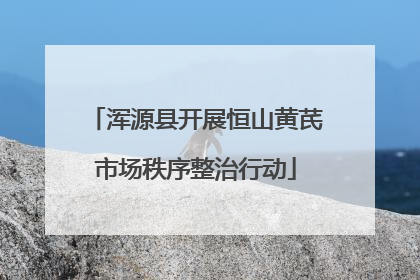 浑源县开展恒山黄芪市场秩序整治行动