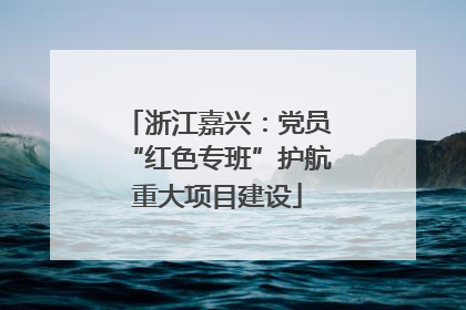 浙江嘉兴：党员“红色专班”护航重大项目建设