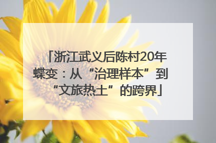 浙江武义后陈村20年蝶变：从“治理样本”到“文旅热土”的跨界