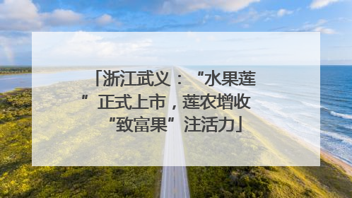 浙江武义：“水果莲”正式上市，莲农增收“致富果”注活力