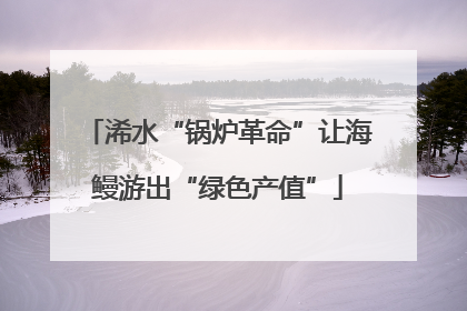 浠水“锅炉革命”让海鳗游出“绿色产值”