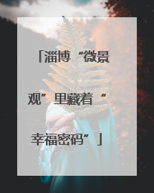 淄博“微景观”里藏着“幸福密码”