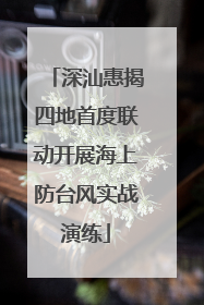 深汕惠揭四地首度联动开展海上防台风实战演练