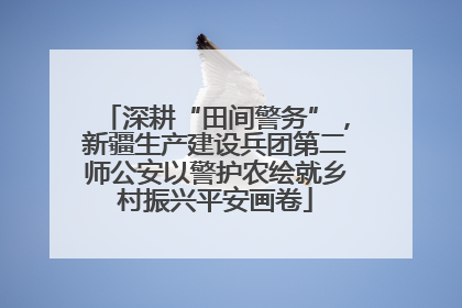 深耕“田间警务”，新疆生产建设兵团第二师公安以警护农绘就乡村振兴平安画卷
