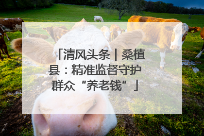 清风头条｜桑植县：精准监督守护群众“养老钱”