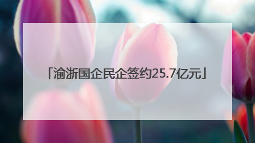渝浙国企民企签约25.7亿元
