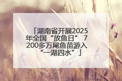 湖南省开展2025年全国“放鱼日” 7200多万尾鱼苗游入“一湖四水”
