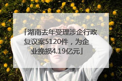 湖南去年受理涉企行政复议案5120件，为企业挽损4.19亿元