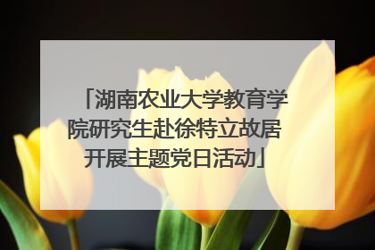 湖南农业大学教育学院研究生赴徐特立故居开展主题党日活动