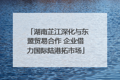 湖南芷江深化与东盟贸易合作 企业借力国际陆港拓市场