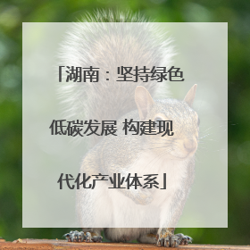湖南：坚持绿色低碳发展 构建现代化产业体系