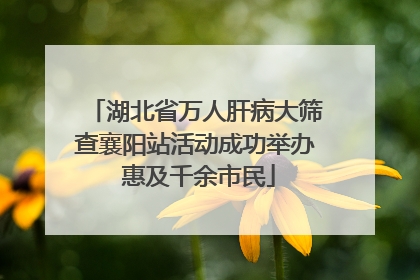 湖北省万人肝病大筛查襄阳站活动成功举办 惠及千余市民
