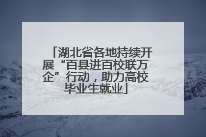 湖北省各地持续开展“百县进百校联万企”行动，助力高校毕业生就业