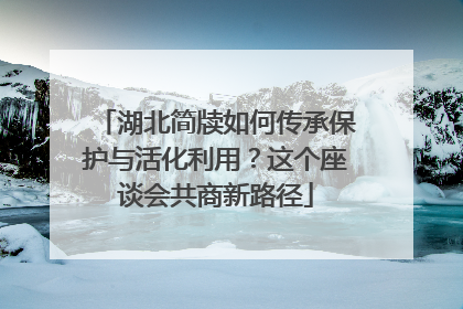 湖北简牍如何传承保护与活化利用？这个座谈会共商新路径