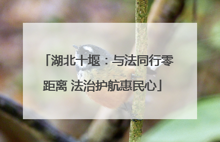 湖北十堰：与法同行零距离 法治护航惠民心