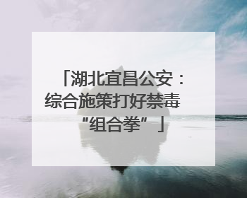 湖北宜昌公安：综合施策打好禁毒“组合拳”