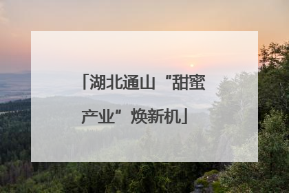 湖北通山“甜蜜产业”焕新机