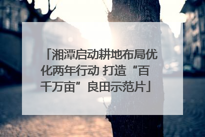 湘潭启动耕地布局优化两年行动 打造“百千万亩”良田示范片