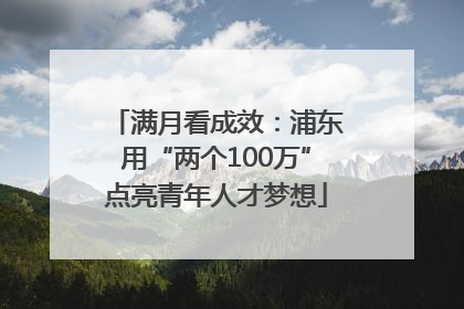满月看成效：浦东用“两个100万”点亮青年人才梦想