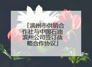 滨州市供销合作社与中国石油滨州公司签订战略合作协议