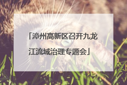 漳州高新区召开九龙江流域治理专题会