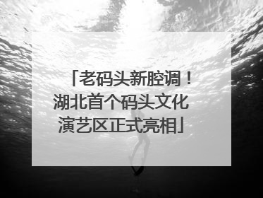 老码头新腔调！湖北首个码头文化演艺区正式亮相