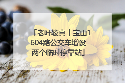 老叶较真丨宝山1604路公交车增设两个临时停靠站