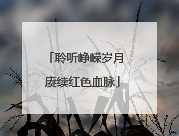 聆听峥嵘岁月 赓续红色血脉