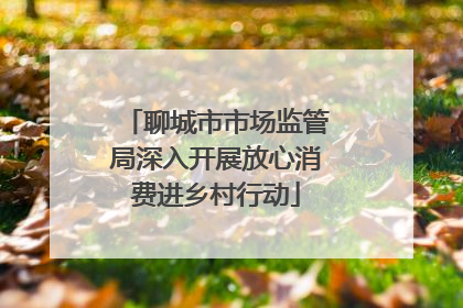 聊城市市场监管局深入开展放心消费进乡村行动