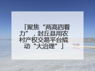 聚焦“两高四着力”，封丘县用农村产权交易平台撬动“大治理”
