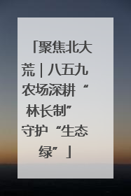 聚焦北大荒｜八五九农场深耕“林长制” 守护“生态绿”