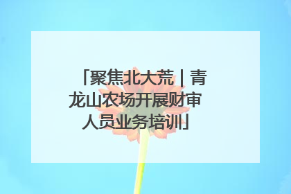 聚焦北大荒｜青龙山农场开展财审人员业务培训