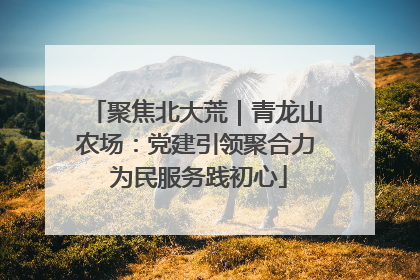 聚焦北大荒｜青龙山农场：党建引领聚合力 为民服务践初心