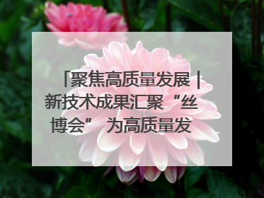 聚焦高质量发展｜新技术成果汇聚“丝博会” 为高质量发展注入新动能