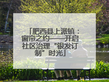 肥西县上派镇：窗帘之约——开启社区治理“银发订制”时光