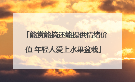 能赏能摘还能提供情绪价值 年轻人爱上水果盆栽