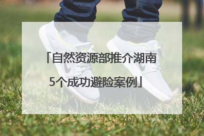 自然资源部推介湖南5个成功避险案例