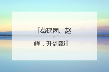葛建团、赵峰，升副部