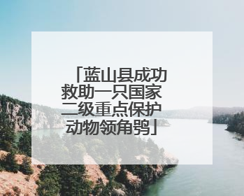 蓝山县成功救助一只国家二级重点保护动物领角鸮