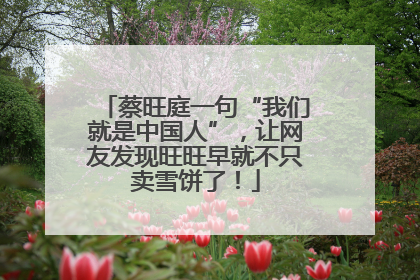 蔡旺庭一句“我们就是中国人”，让网友发现旺旺早就不只卖雪饼了！